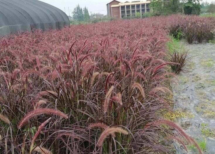 1645246093500044.jpg 2.jpg