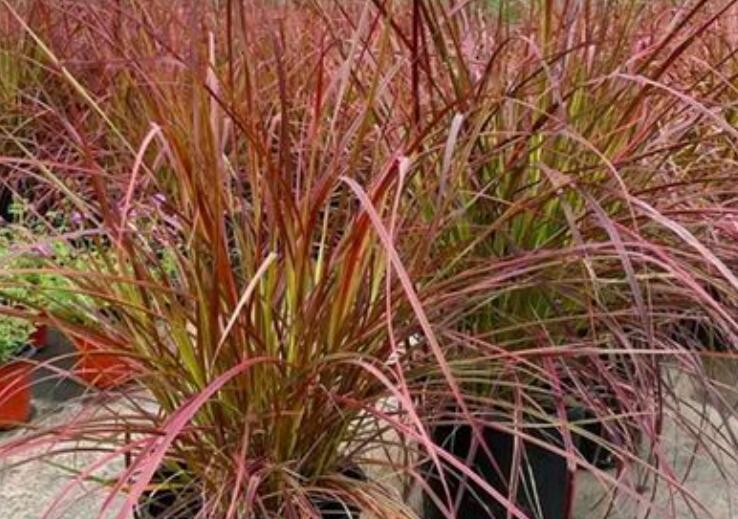 1645246103603473.jpg 3.jpg