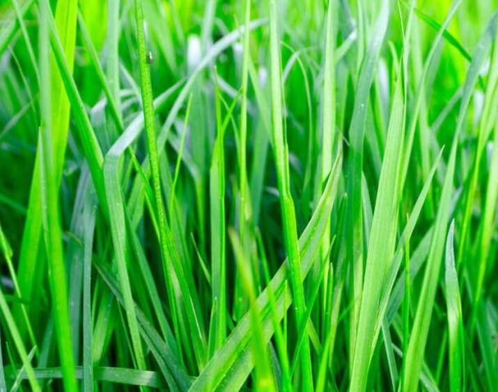 1645264639634659.jpg 1645264639634659.jpg