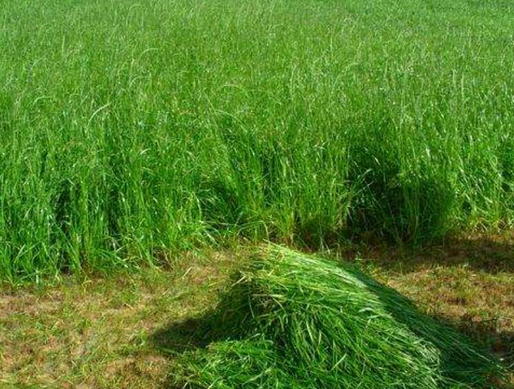 1645264865868075.jpg 1.jpg