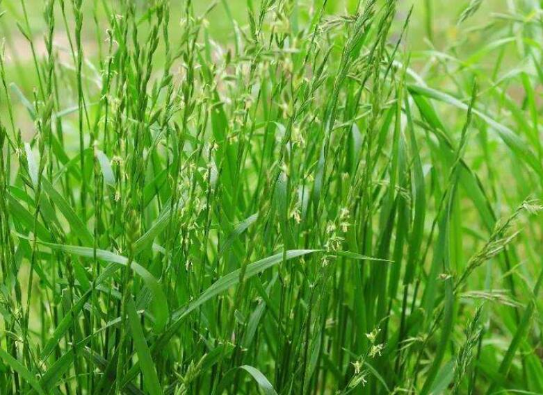 1645264877437584.jpg 2.jpg