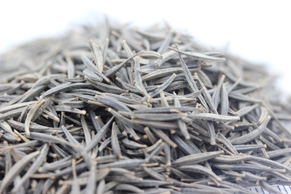 格桑花種子 格桑花種子