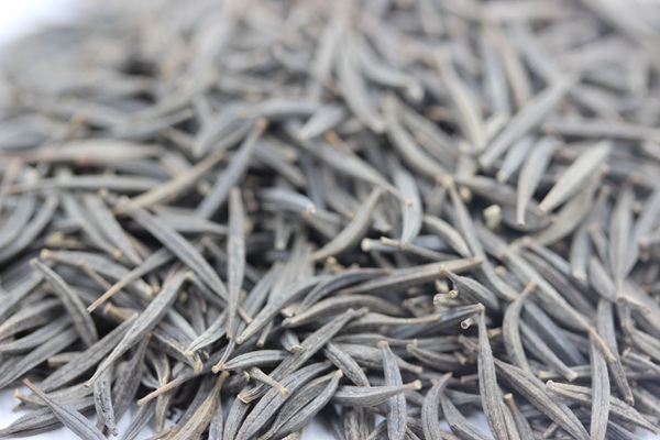 格桑花種子 格桑花種子