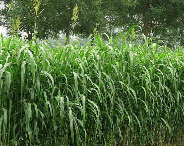 1645698572550918.jpg 2.jpg