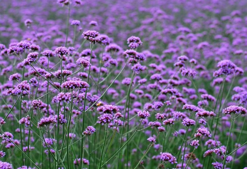 1645700467979366.jpg 1.jpg