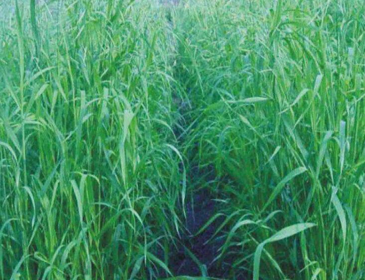 1645708113859091.jpg 2.jpg