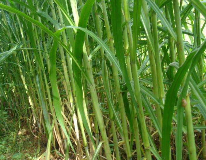 1645708419668897.jpg 1645708419668897.jpg