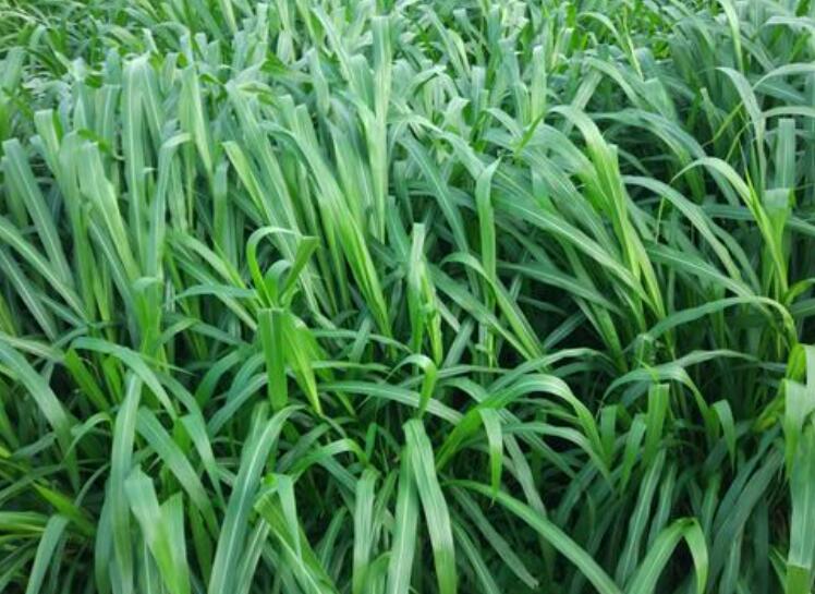 1645708815857671.jpg 1.jpg