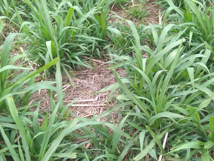 1645708826163584.jpg 2.jpg