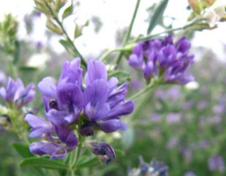 1645801120315801.jpg 2.jpg