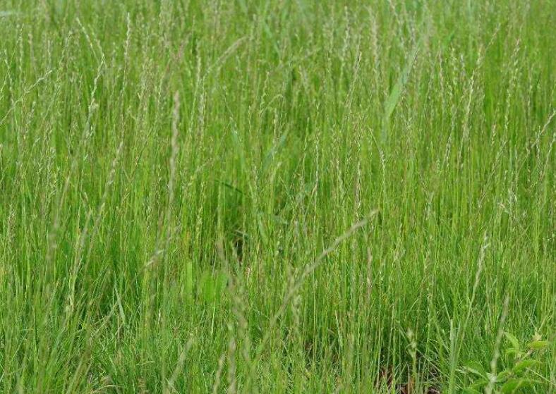 1645801728782886.jpg 2.jpg