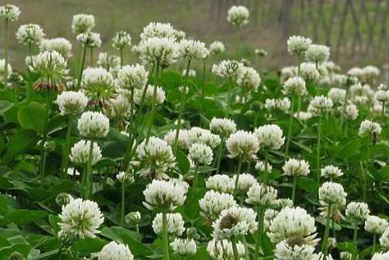 1646138595879939.jpg 1.jpg