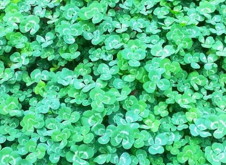 1646138604616930.jpg 2.jpg