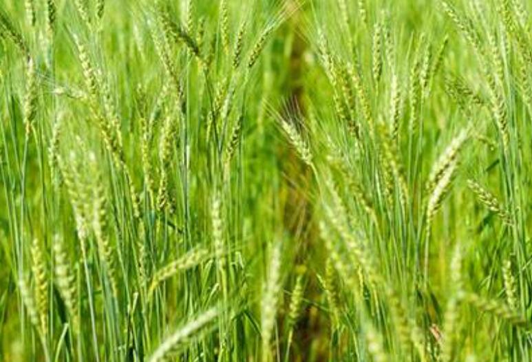 1646144804214020.jpg 1.jpg