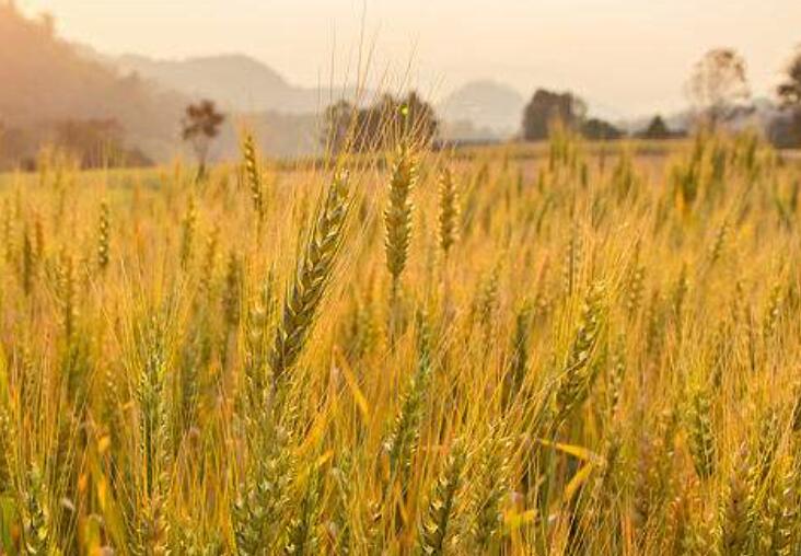 1646144842426631.jpg 3.jpg