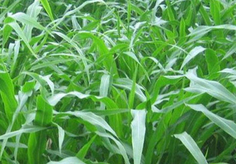 1646191580423093.jpg 2.jpg