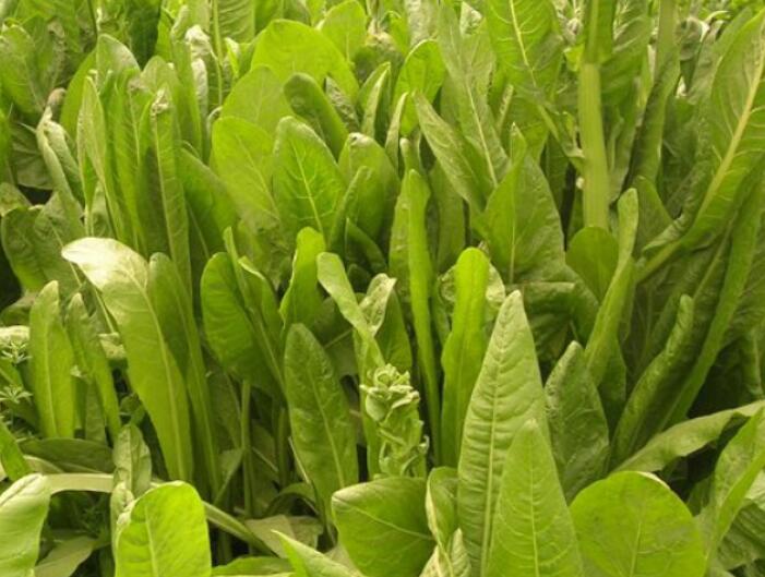 1646192602856335.jpg 2.jpg