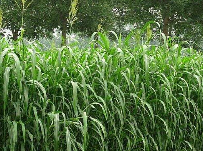 1646304105704978.jpg 2.jpg