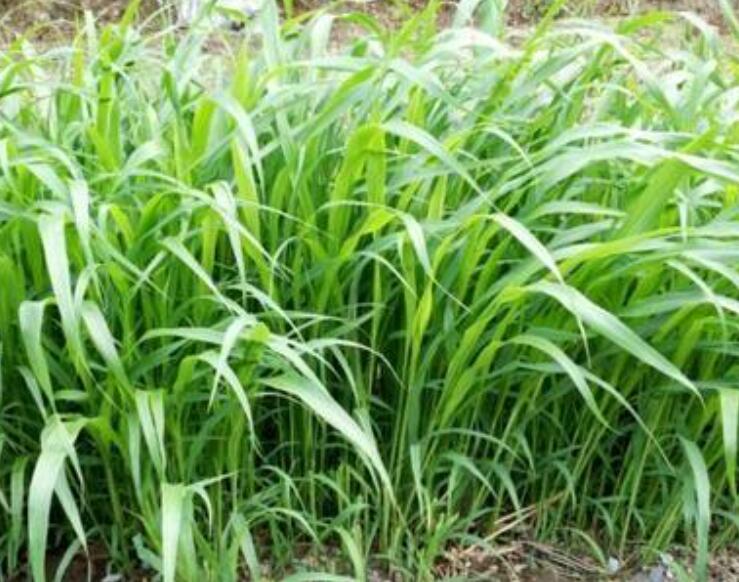 1646313424511789.jpg 1.jpg