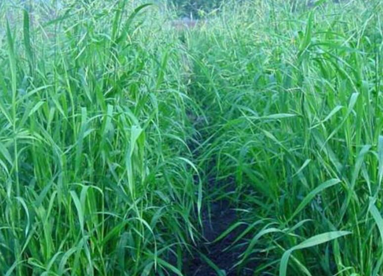 1646313445597429.jpg 3.jpg