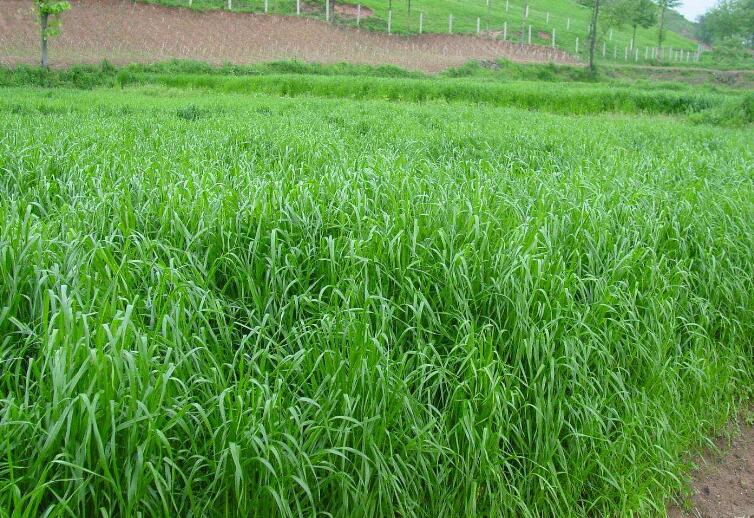 1646316469784038.jpg 1.jpg