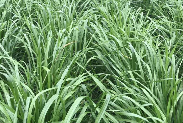 1646317154888099.jpg 1.jpg