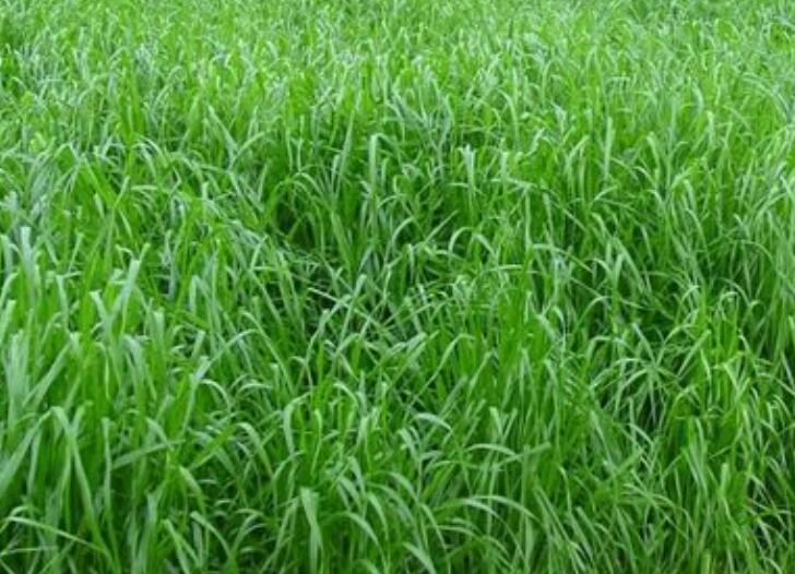 1646317163110883.jpg 2.jpg