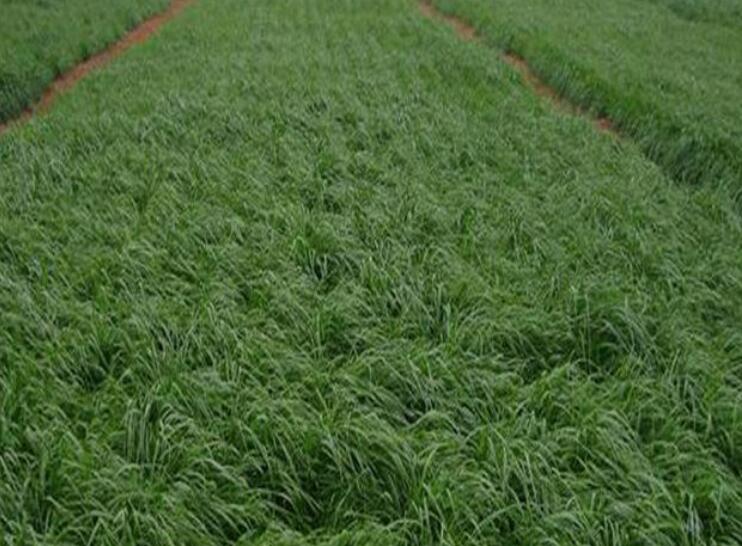 1646317171809309.jpg 3.jpg