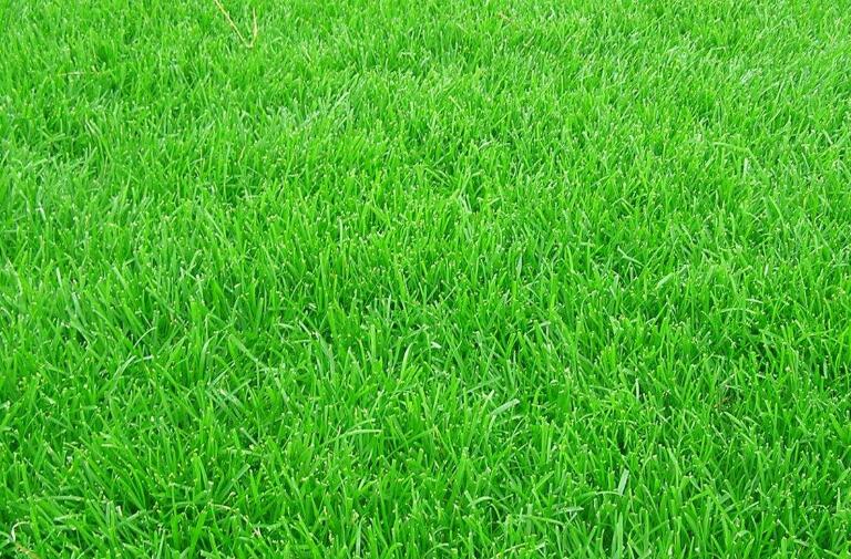 1646398174752041.jpg 1.jpg