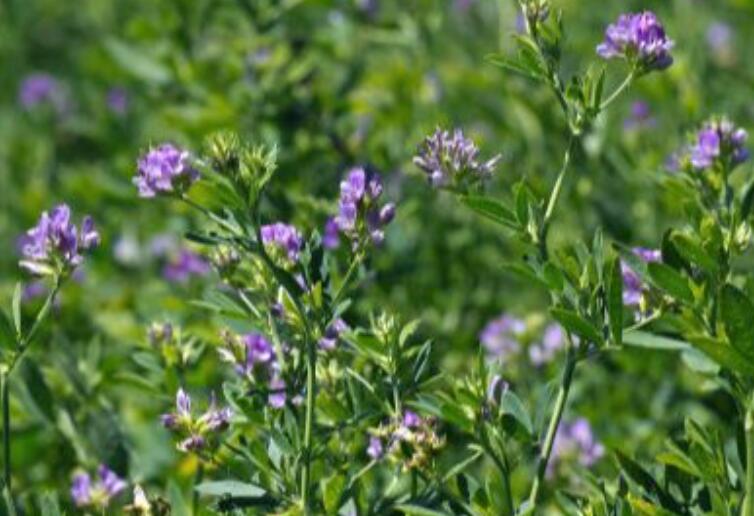 1646480690901393.jpg 3.jpg