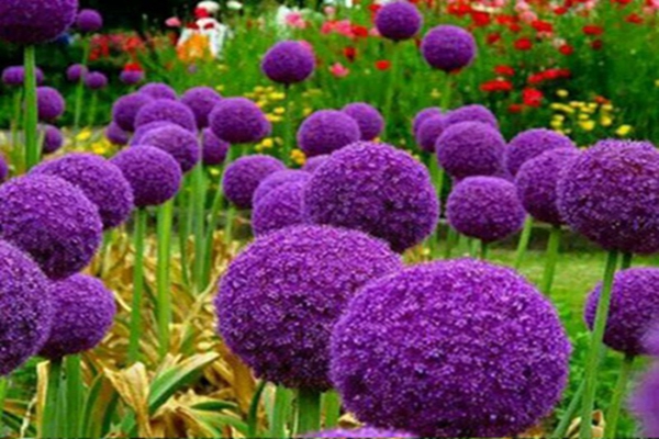 1646562572756772.jpg 1646562572756772.jpg