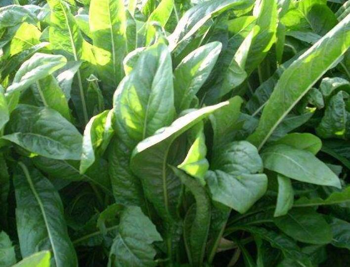 1646575100705893.jpg 3.jpg