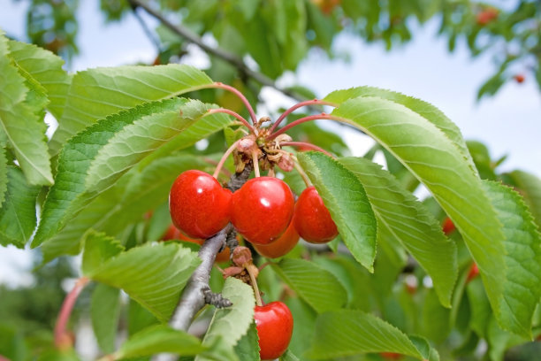 1646816482627496.jpg 1646816482627496.jpg