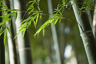 1646821534161167.jpg 1646821534161167.jpg