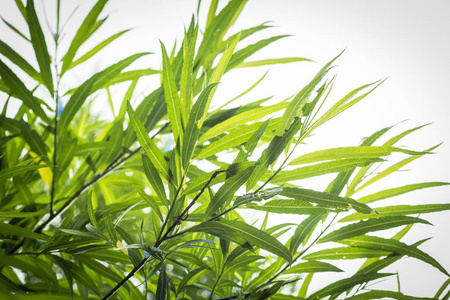 1646821561324504.jpg 1646821561324504.jpg