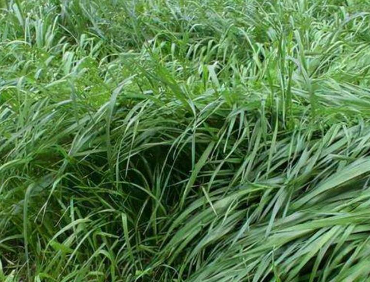 1646826832311800.jpg 1646826832311800.jpg