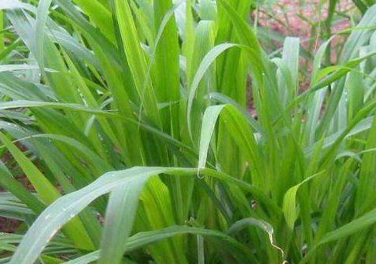 1646827485987687.jpg 1646827485987687.jpg