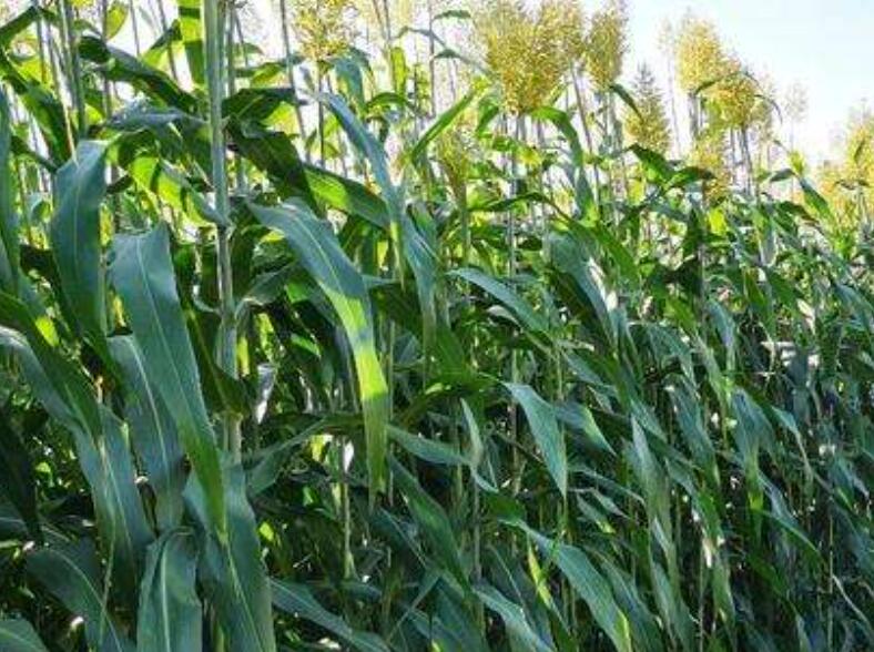 1646828682846571.jpg 2.jpg