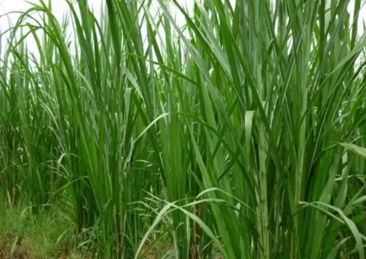 1647010677201896.jpg 1.jpg