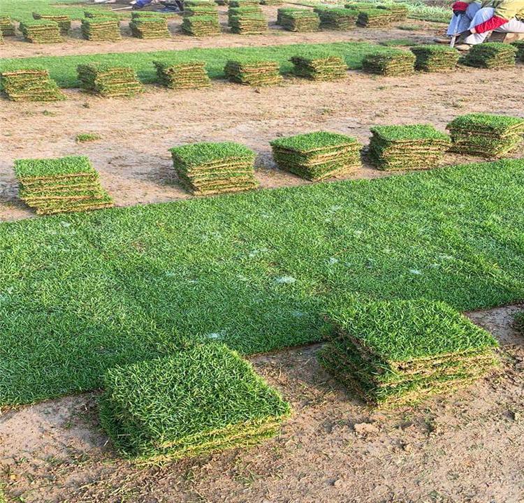 1647404471831892.jpg 1647404471831892.jpg