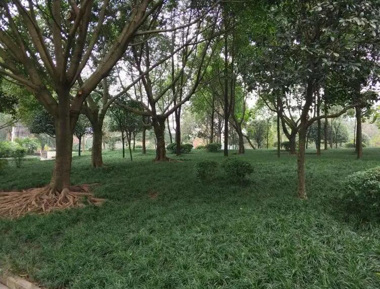 1647430939884900.jpg 1647430939884900.jpg