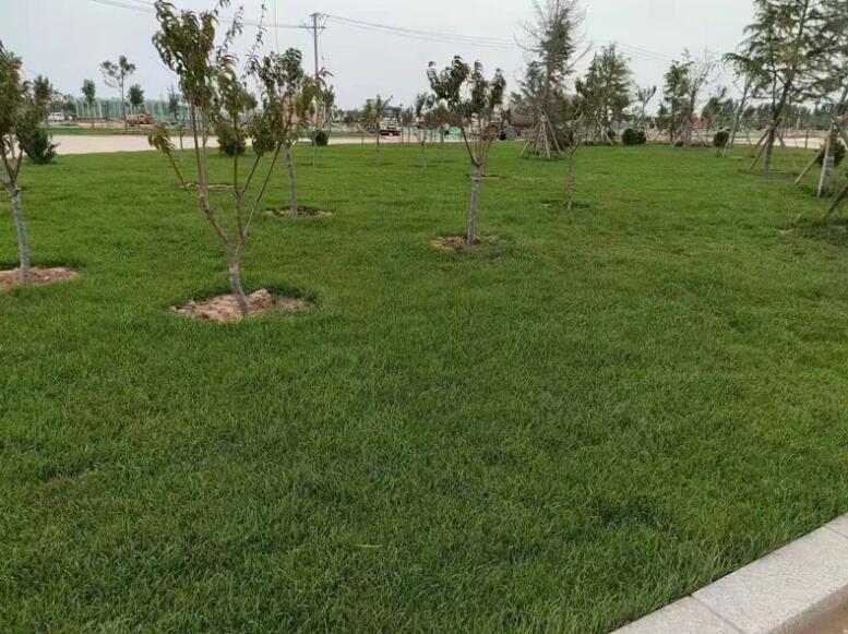 1647430939978308.jpg 1647430939978308.jpg