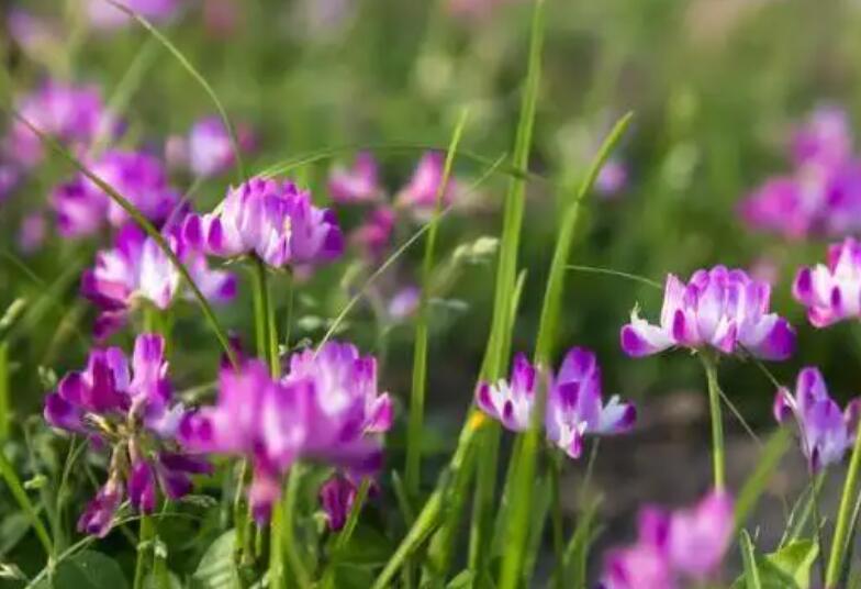 1647604641183170.jpg 1647604641183170.jpg