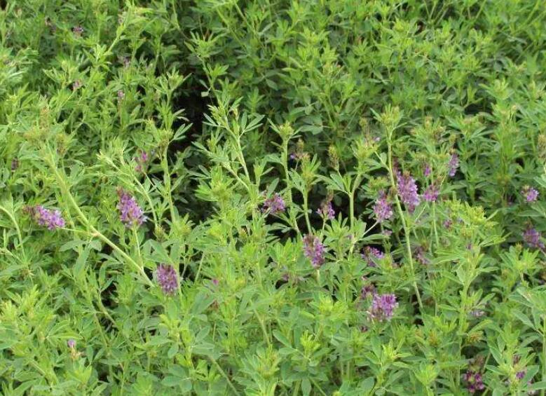 1647696579498891.jpg 1647696579498891.jpg