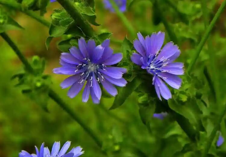 1647836708656966.jpg 2.jpg