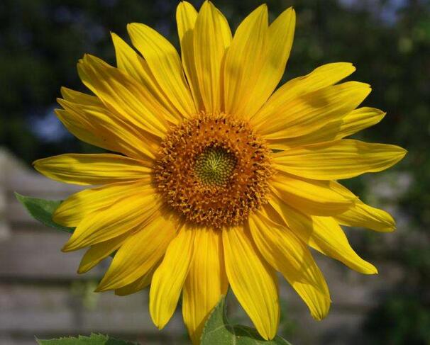 1648104063119480.jpg 1648104063119480.jpg