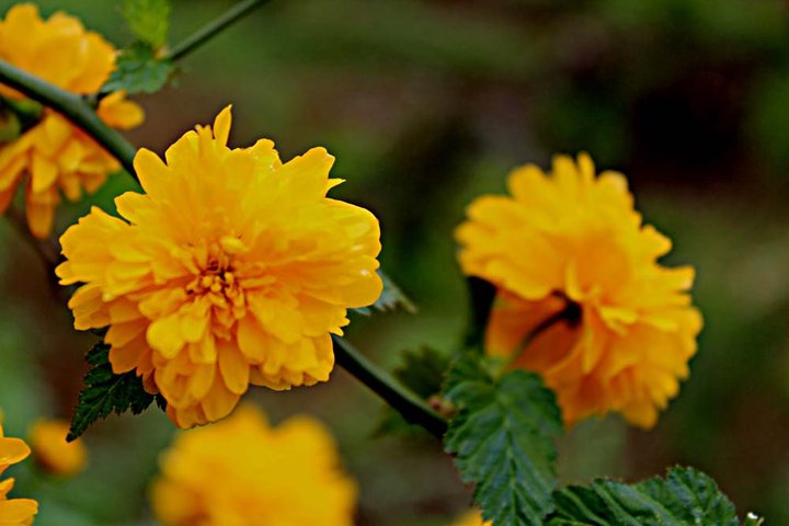 1648116599779817.jpg 1648116599779817.jpg