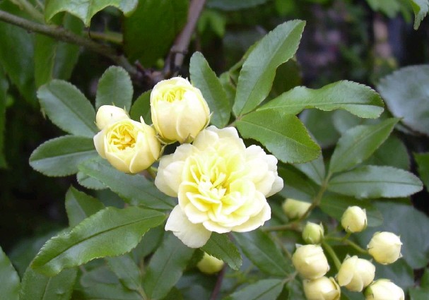 1648116670570935.jpg 1648116670570935.jpg