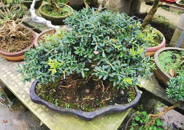 1648182000738819.jpg 1648182000738819.jpg