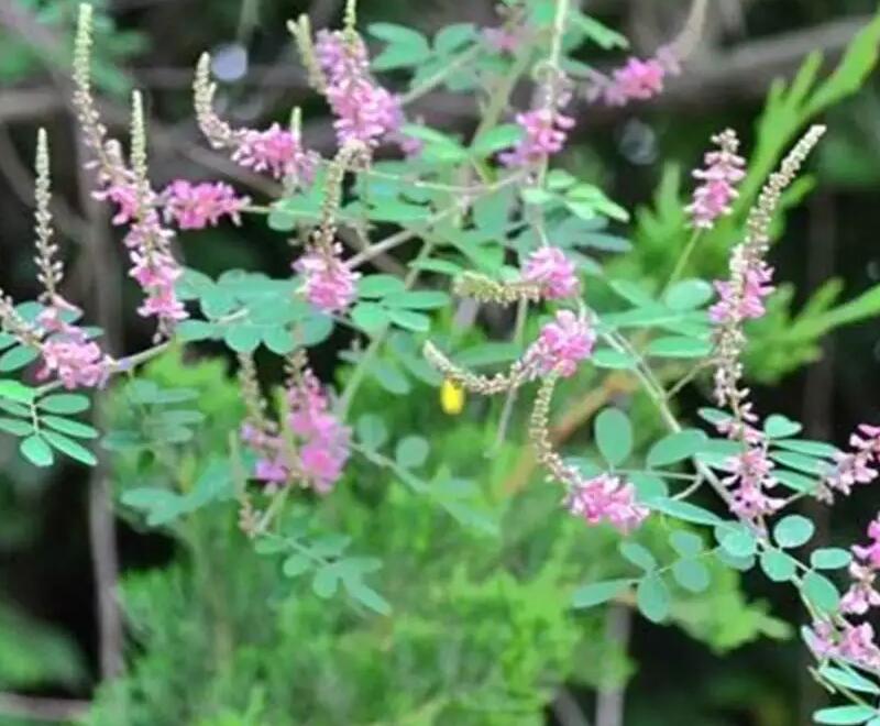 1649244656141782.jpg 1649244656141782.jpg